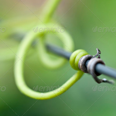 在线电话呼死你